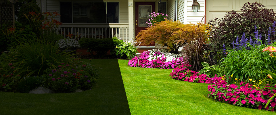 Fifty Lakes Landscapers