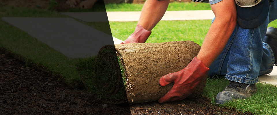 Fifty Lakes Landscapers